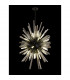 Hornby 32 Light E27 Vertical Oval Ceiling Pendant Matt Black Smoke Glass-3