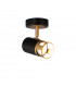 Phelps SpotFitting GU10 Black Painted Gold-1