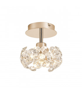 Salisbury G9 Ceiling Lamp With French Gold And Crystal Shade-1