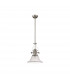 Worcester Single Ceiling Pendant E27 30cm Bell Glass Satin Nickel Clear-4