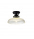 Dresden Flush Ceiling Lamp E27 With Round 30cm Glass Shade Matt Black Clear-1