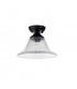 Dresden Flush Ceiling Lamp E27 With Bell 30cm Glass Shade Matt Black Clear-7
