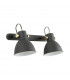 Delta Twin Ceiling Spotlight Matt Black Clear White 2x E27