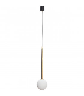 Ali Slim Pendant Ceiling Light Gold 1x G9