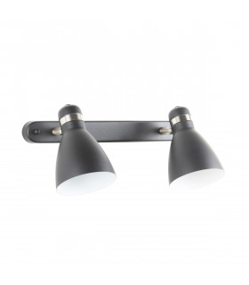 Delta Twin Ceiling Spotlight Matt Black Satin Nickel White 2x E27