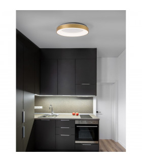 Rando Thin 60cm Integrated LED Semi Flush Light Brushed Gold Aluminium LED 50W 3250Lm 3000K-2