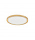 Troy 46cm Integrated LED Semi Flush Light Metal Golden Leaf Outside White Inside LED 40W 2200Lm 3000K-1