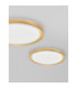 Troy 46cm Integrated LED Semi Flush Light Metal Golden Leaf Outside White Inside LED 40W 2200Lm 3000K-2