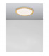 Troy 46cm Integrated LED Semi Flush Light Metal Golden Leaf Outside White Inside LED 40W 2200Lm 3000K-3