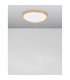 Troy 46cm Integrated LED Semi Flush Light Metal Golden Leaf Outside White Inside LED 40W 2200Lm 3000K-4
