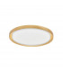 Troy 56cm Integrated LED Semi Flush Light Metal Golden Leaf Outside White Inside LED 50W 2750Lm 3000K-1
