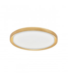 Troy 56cm Integrated LED Semi Flush Light Metal Golden Leaf Outside White Inside LED 50W 2750Lm 3000K-1