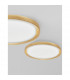 Troy 56cm Integrated LED Semi Flush Light Metal Golden Leaf Outside White Inside LED 50W 2750Lm 3000K-2