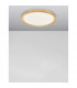 Troy 56cm Integrated LED Semi Flush Light Metal Golden Leaf Outside White Inside LED 50W 2750Lm 3000K-3