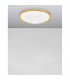 Troy 56cm Integrated LED Semi Flush Light Metal Golden Leaf Outside White Inside LED 50W 2750Lm 3000K-4