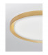 Troy 56cm Integrated LED Semi Flush Light Metal Golden Leaf Outside White Inside LED 50W 2750Lm 3000K-5