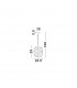Ficato 24.5cm Globe Pendant Ceiling Light Brass Metal Champagne Glass LED E27-5