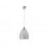 Boho 24cm Dome Pendant Ceiling Light Chrome Glass Metal LED E27-1
