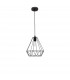 Pietra 25cm Wire Frame Pendant Ceiling Light Steel Black Black Cable LED E27 40W