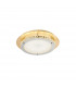 Zeffari Integrated LED Semi Flush Light Golden Leaf Chrome Aluminium K9 Crystal Acrylic Sand LED 41W 2460Lm 4000K-1