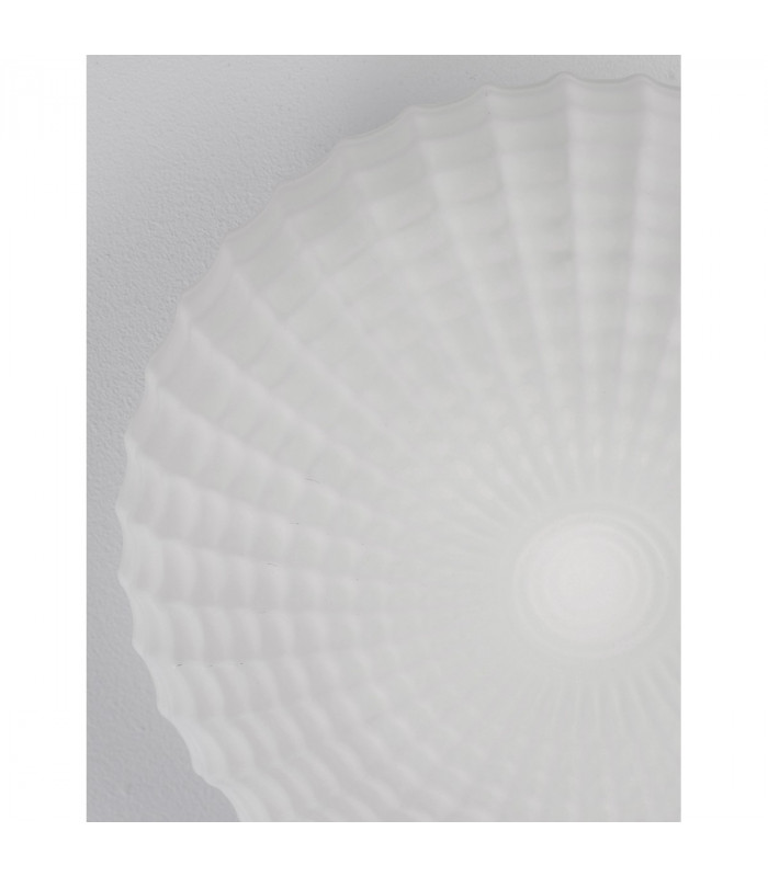 Clam 2 Light Bathroom Ceiling Light White Glass White Metal LED E27 IP44-4