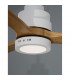 Silky Ceiling Fan Matt White Steel Glass Oak Wood-4