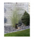 Tala Outdoor Pedestal Light Black Aluminium Clear Glass LED 9W 630Lm 3000K IP54-2
