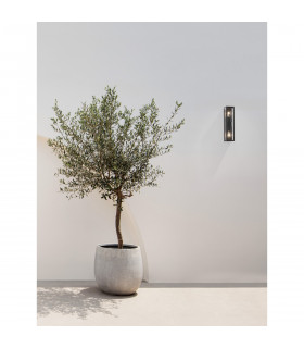Regina 2 Light Outdoor Wall Lantern Anthracite Aluminium Clear Glass LED E27 IP65-2