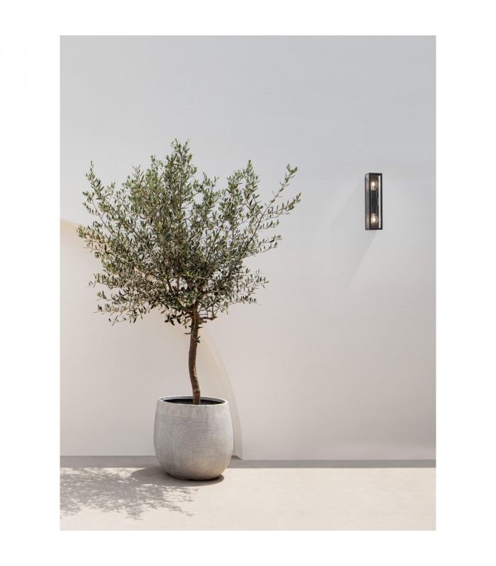 Regina 2 Light Outdoor Wall Lantern Anthracite Aluminium Clear Glass LED E27 IP65-2