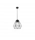 Isidora Wire Frame Pendant Ceiling Light Black Aluminium Clear Glass LED E27 IP54-1