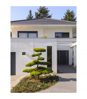 Parris Outdoor Down Wall Lamp Anthracite Aluminium Clear Glass LED 8.6W 395Lm 3000K IP65-2