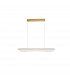 Agos Integrated LED Pendant Ceiling Light Gold Aluminium LED 33W 2561Lm 3000K-1
