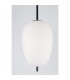 Lato 27cm Globe Pendant Ceiling Light Black Metal Opal Glass LED E27-4