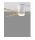 Dell Ceiling Fan Aluminium Wood & Matt White 3ABS Wood Blades-10
