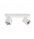 Aveiro Modern Twin Ceiling Spotlight LED 4000K-2