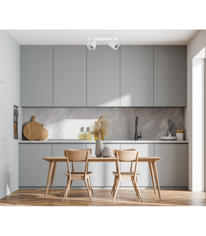 Aveiro Modern Twin Ceiling Spotlight LED 4000K-3