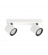 Karlota Modern Twin Ceiling Spotlight GU10-1