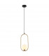 Lupus Modern 1 Light Globe Pendant Ceiling Light G9-1
