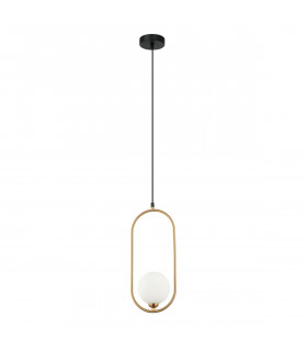 Lupus Modern 1 Light Globe Pendant Ceiling Light G9-2
