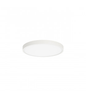 Riberio Modern Flush Ceiling Light LED 3000K-2