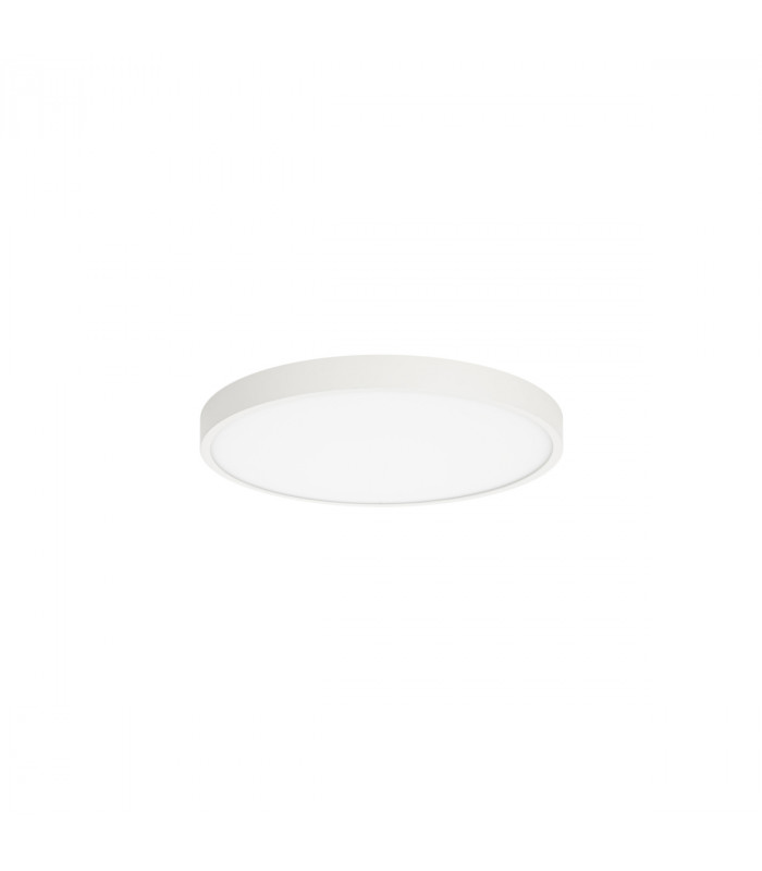 Riberio Modern Flush Ceiling Light LED 3000K-2