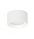 Sirius Modern Cylindrical Ceiling Light LED 3000K + 4000K-1
