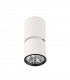 Boniva Modern Surface Mounted Downlight LED 3000K-1