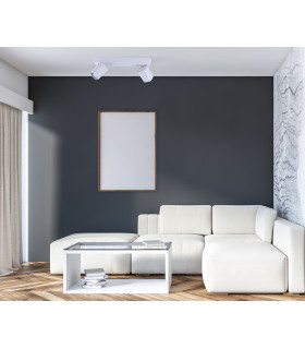 Senova Modern 2 Light Twin Ceiling Spotlight GU10-3