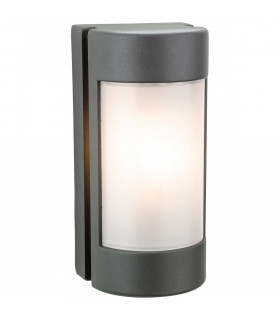 Arena 1 Light Outdoor Wall Light Graphite