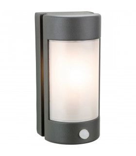 Arena 1 Light Outdoor Wall Light Light