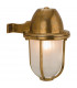 Nautic 1 Light Outdoor Wall Light Solid Brass