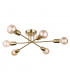 Trident 6 Light Multi Arm Semi Flush Light Brushed Brass