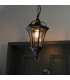 Drayton 1 Light Outdoor Ceiling Lantern Pendant Light Black IP44-3