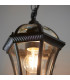 Drayton 1 Light Outdoor Ceiling Lantern Pendant Light Black IP44-4